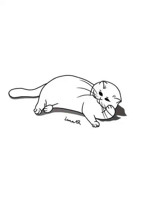 黑白线条小猫说它今天很忧郁