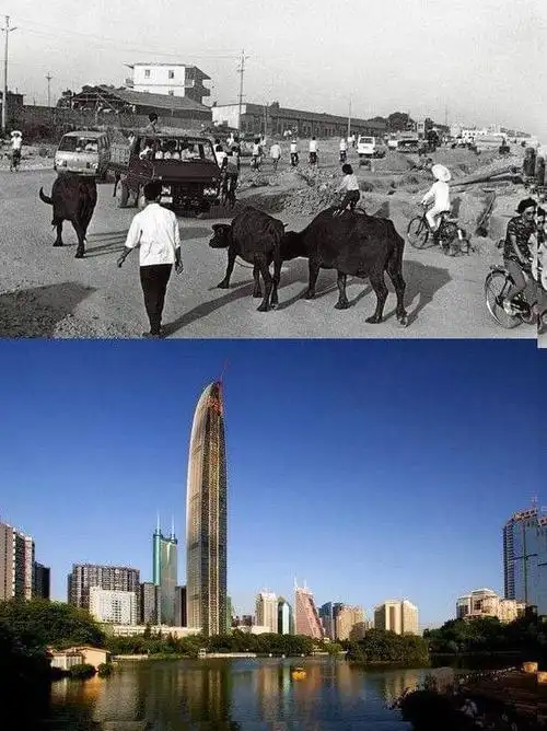 一组深圳新老照片的对比图沧海桑田的变化令人震撼