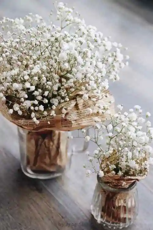 小清新好看的满天星花束手机壁纸