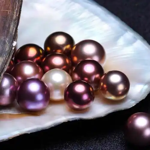 鼎源妖紫爱迪生天然淡水河蚌现场 直播开蚌取珍珠 鲜活现场自己开