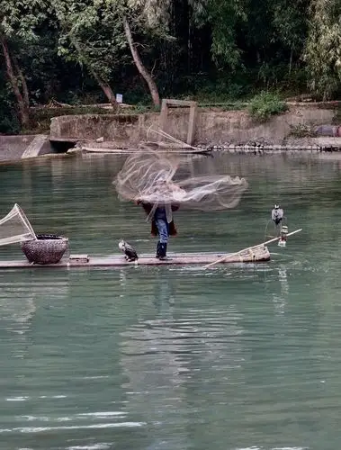 撒网捕鱼与鹭鸶,漓江·兴坪,2020年11月25日