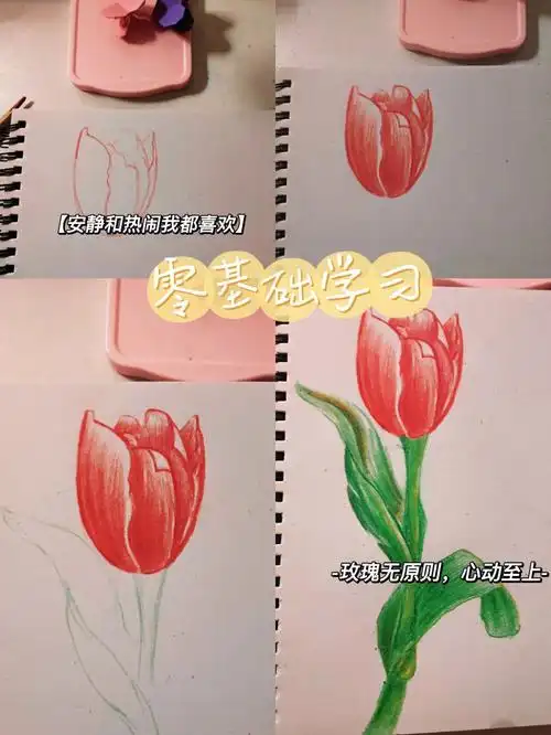 彩铅画郁金香教程零基础