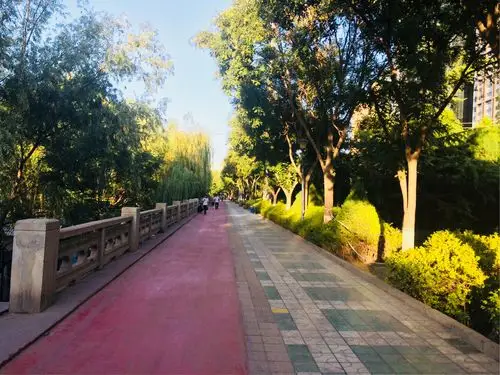 滨河路绿色长廊,又称黄河外滩.