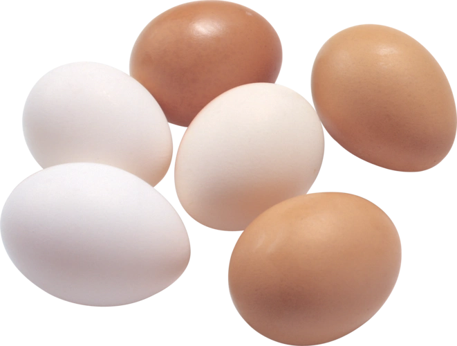 食物鸡蛋蛋白质图片