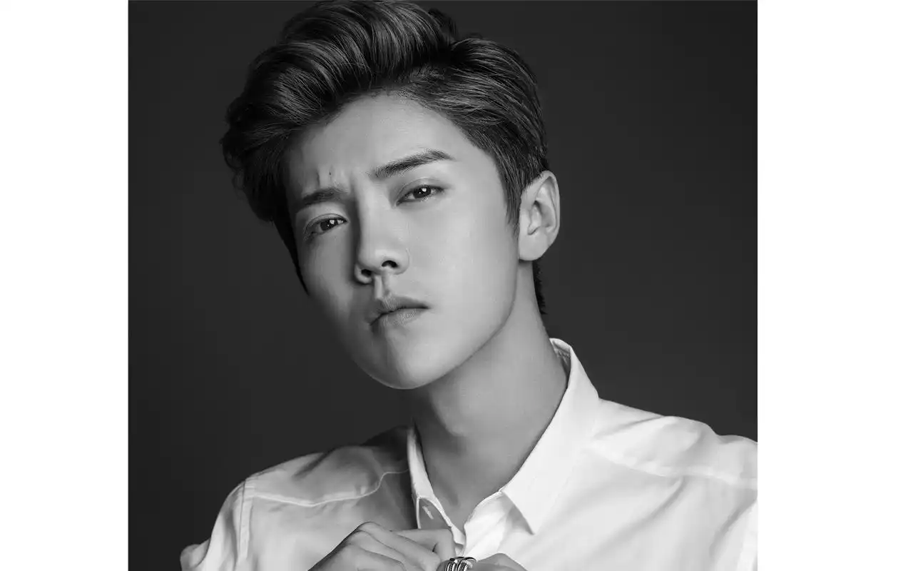 鹿晗最新黑白写真宽屏桌面壁纸