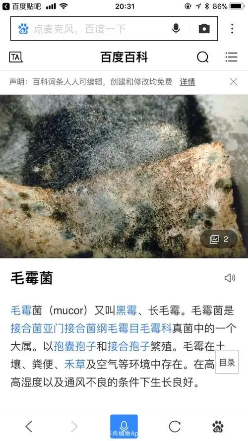 注意,注意,毛霉菌!