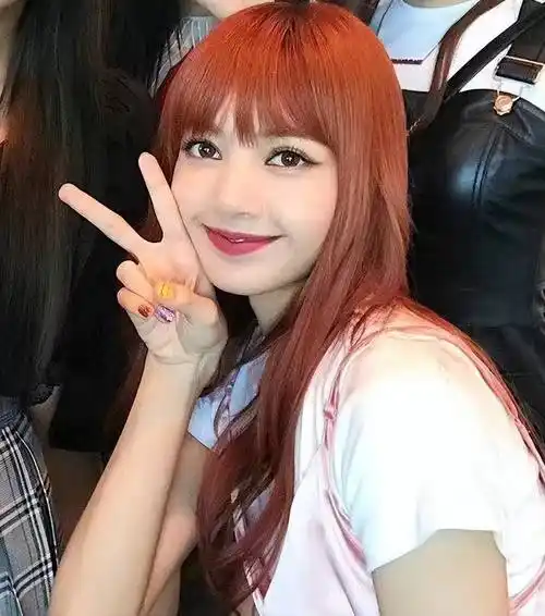 lisa火爆频繁上热搜,法总统夫人邀站c位,手机壳疑印三太子名字_音乐