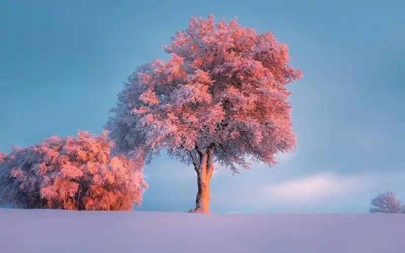 28张唯美自然风景电脑桌面壁纸推荐小编精选总有一张适合你全文