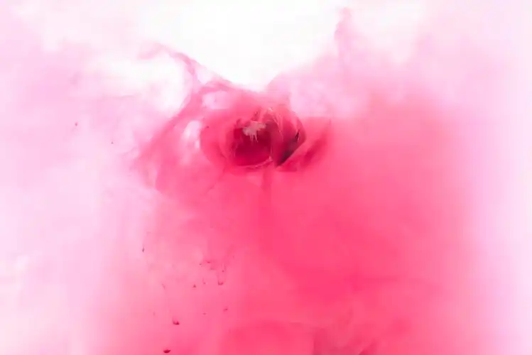 粉红色的花朵在灰色背景上五颜六色的花卉横向日葵幼儿班黄色花朵背景