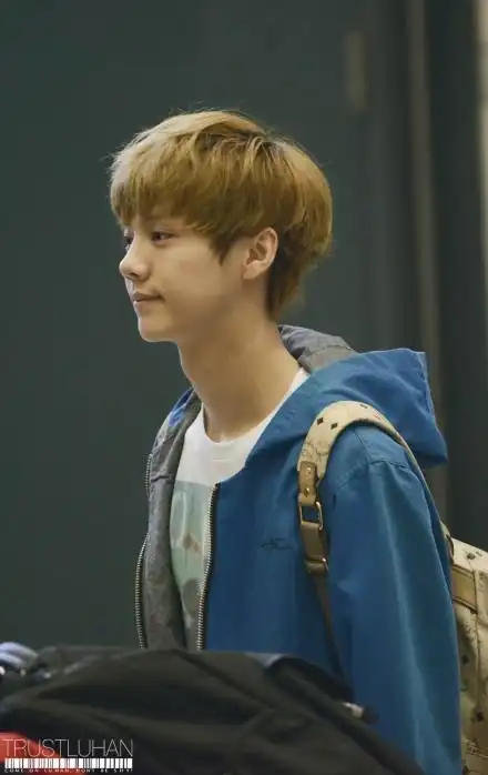 鹿晗一张机场穿棕色头发淡蓝色衣服背着棕黄书包还