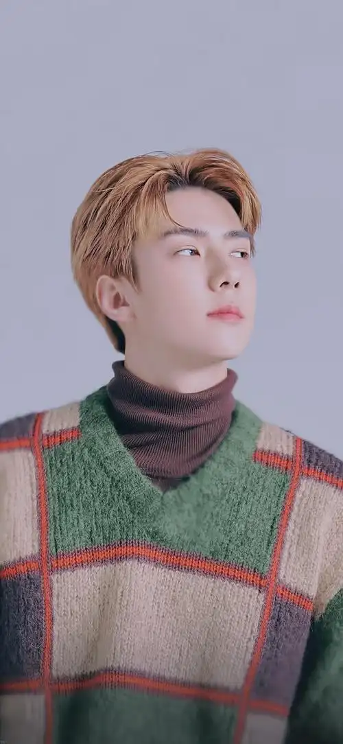 吴世勋高清壁纸下载_吴世勋高清壁纸手机app安卓苹果下载-梦幻手游网