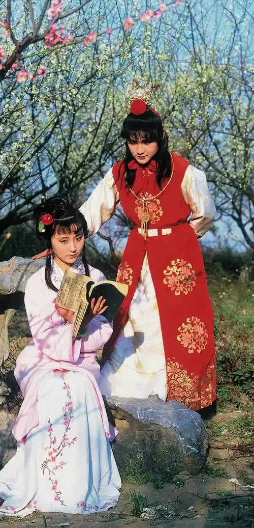 《红楼梦》电视剧片段_红楼梦_剧照