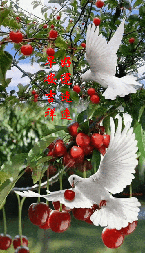 20216116119星期二早安30心语