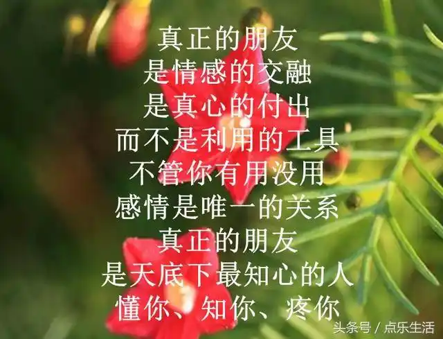 什么是真正的朋友!(句句入心)