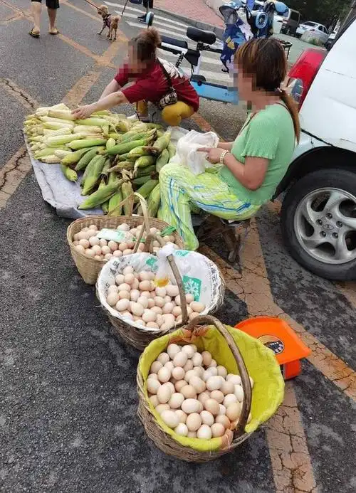 逛早市提一篮人间烟火回家