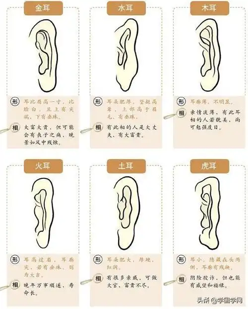 看不到耳朵的面相(看福在耳如何通过相耳来看一个人流年运势呢) - 桓