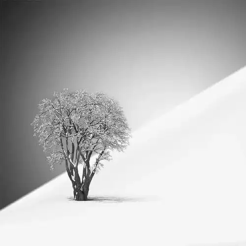 简洁宁静飘渺的极简黑白摄影作品