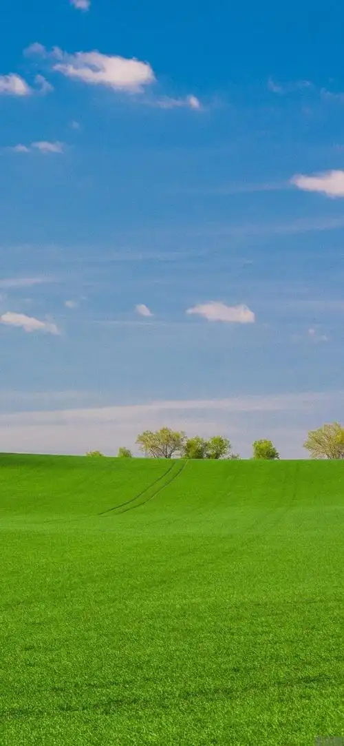现如今网上最火的手机壁纸风景图 超好看的神仙ins锁屏壁纸(图2)