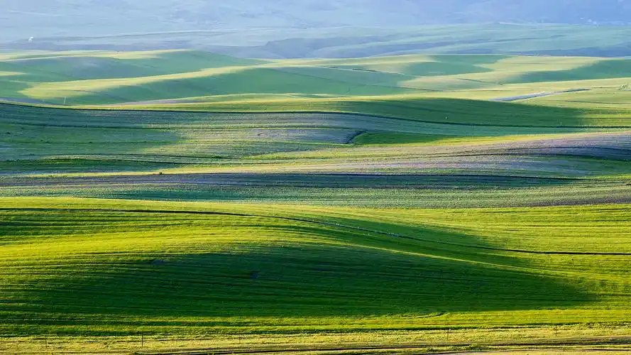 辽阔的草原图片宽屏桌面壁纸高清大图预览1920x1080_风景壁纸下载_美