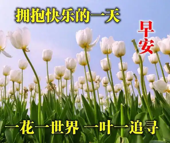 原创8张非常创意好看的早上好问候图片唯美秋天早安问候祝福图片带字