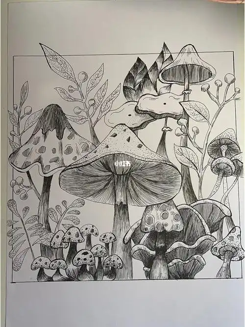 黑白装饰画临摹蘑菇