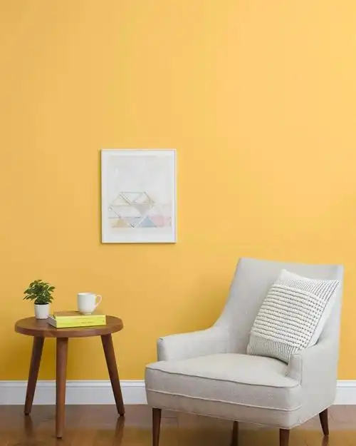 2021年最热门的5种墙面流行色|津色色彩 - 知乎