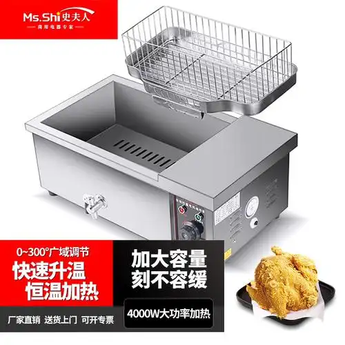 史夫人 商用立式大型电炸炉油炸锅炸油条机专用锅炸鸡薯条电炸炉大