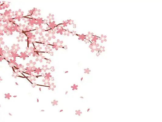 粉色手绘卡通樱花树枝花枝花瓣赏樱花节元素png素材春分春天春季元素