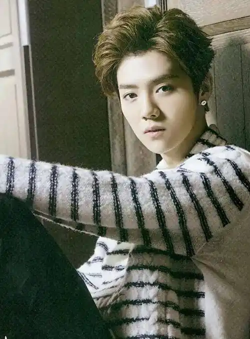 早前网传鹿晗原名叫"刘壮实",引起了很多网友的热议.