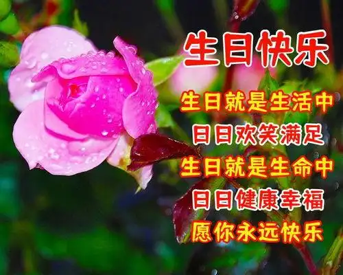 生日祝福句子短句,生日祝福句子唯美短句