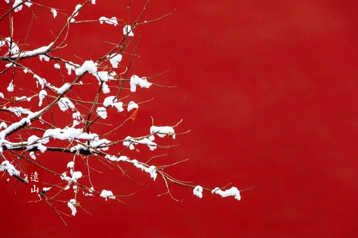 融雪#故宫# #故宫雪景