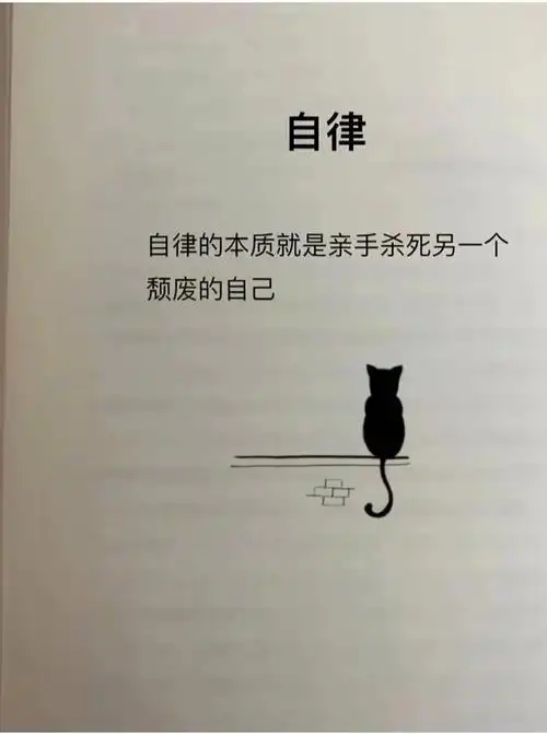 关于计划的名言警句有哪些小学生_晶羽文学网