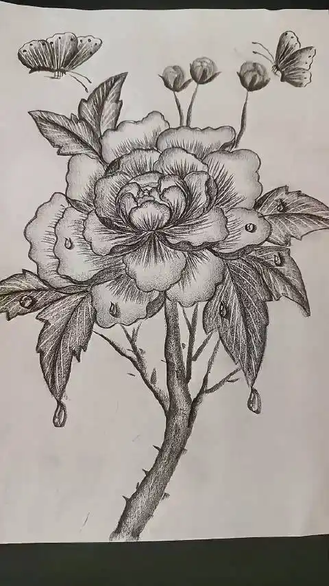 唯有牡丹真国色,花开时节动京城,一起来学牡丹花铅笔画!