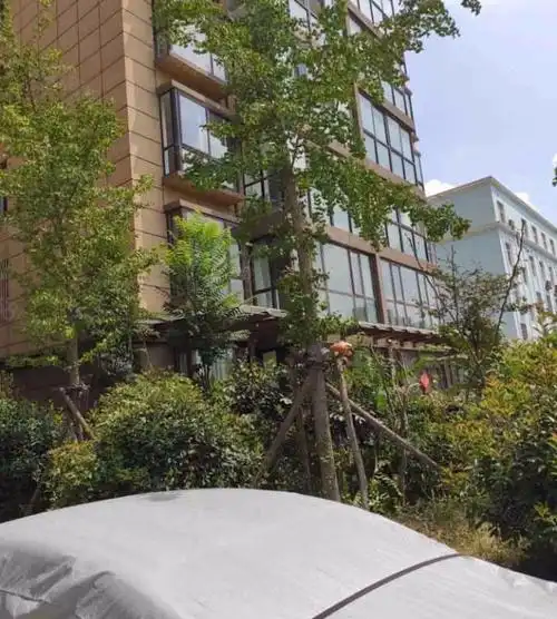 【嘉林花园, 嘉林花园小区详情,房价走势,房源,业主论坛】- 周口58