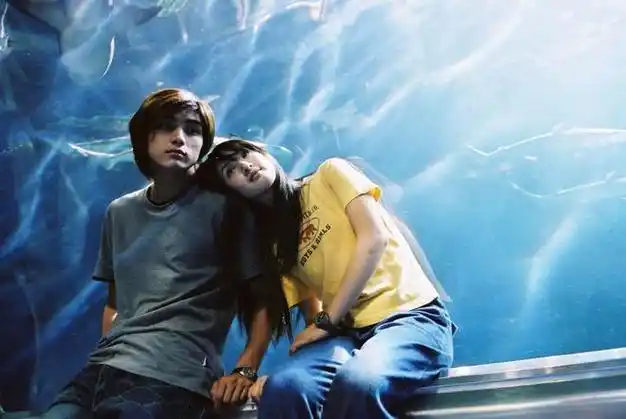 贺军翔|林依晨|杨丞琳|偶像剧_网易订阅