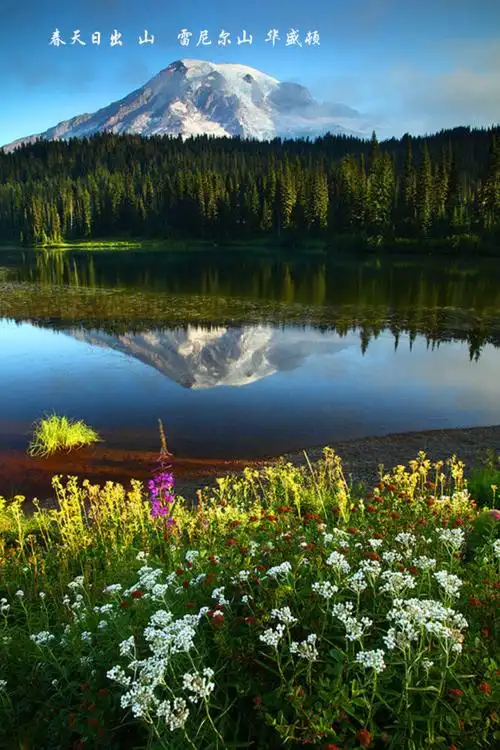 690_1035竖版 竖屏