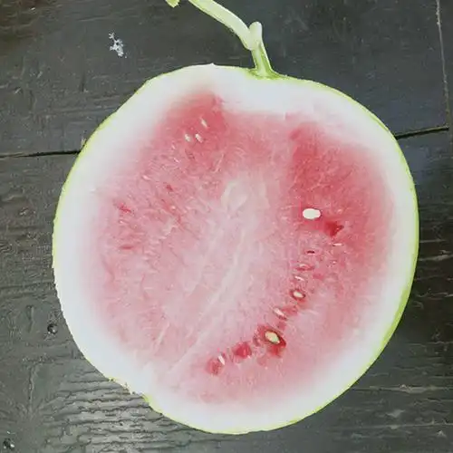 江苏东台西瓜东台西瓜