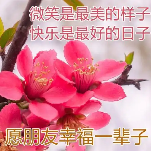 最新早安祝福图片集锦每天一份祝福问候早上好图片