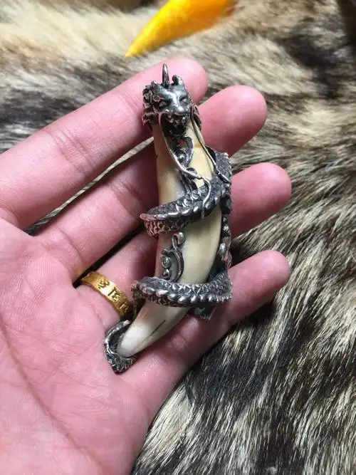 请大家帮忙鉴定下是否为孟加拉虎牙,值多少钱.