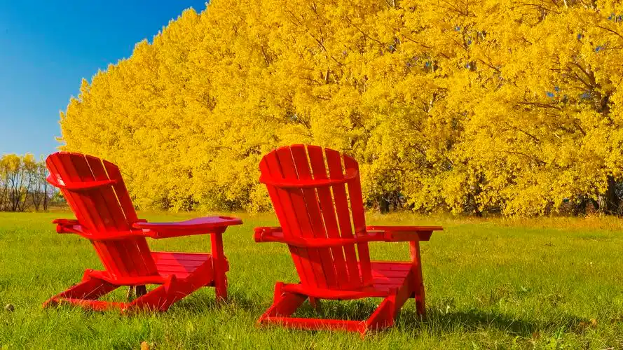 webshots,2011年,九月,精美,风光,动物,摄影,宽屏,1080p,壁纸webshots