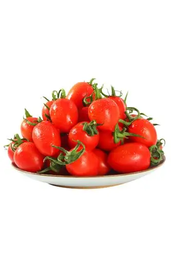 千禧圣女果5斤包邮现摘现发樱桃小番茄孕妇水果西红柿新鲜蔬菜