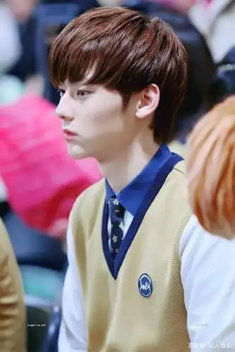 翰林艺高 车银优