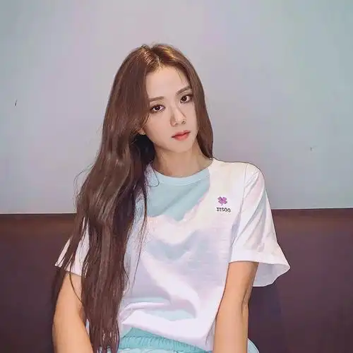 blackpink周边应援金智秀jisoo同款小花上衣服短袖t恤女ins潮 白色 s