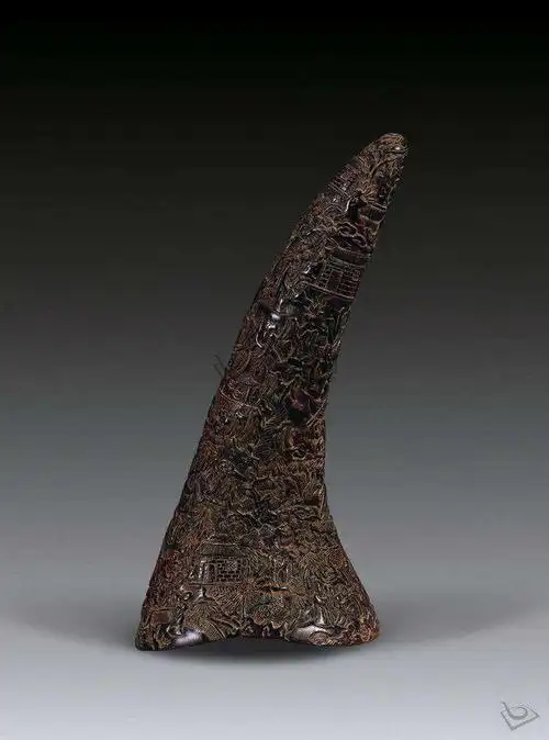 亚洲犀牛角的药性功效如何治愈糖尿病中风