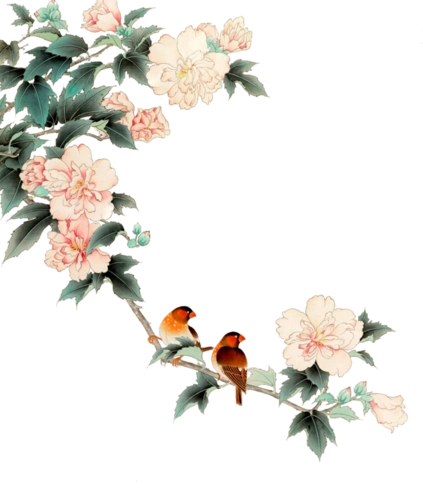 png高清免扣素材