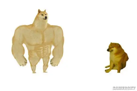 cheems)走红了网络,那只肌肉柴犬(swole doge或称buff doge)明鲜乔
