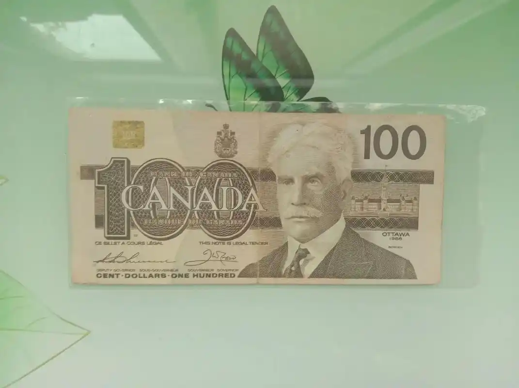 加拿大联邦加拿大银行1988年发行的第伍套纸币鸟版100元及 - 抖音
