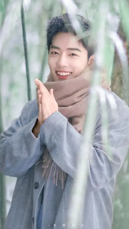 肖战冬至竹林大片##肖战