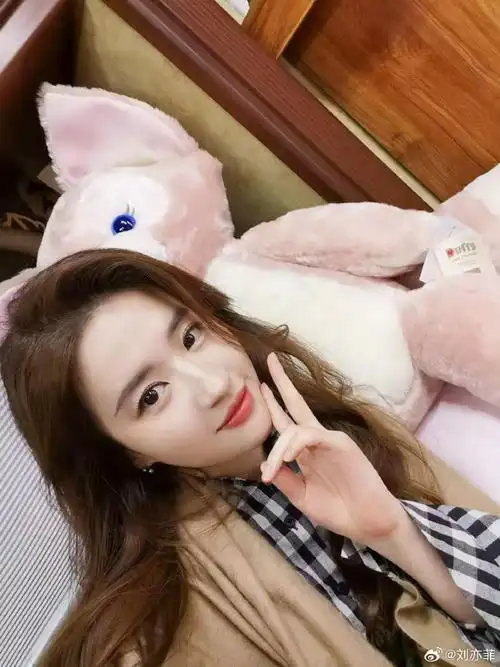 刘亦菲被玩偶鲜花环绕