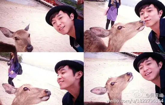 青峰与小鹿亲吻 表情呆萌画面温馨(图)